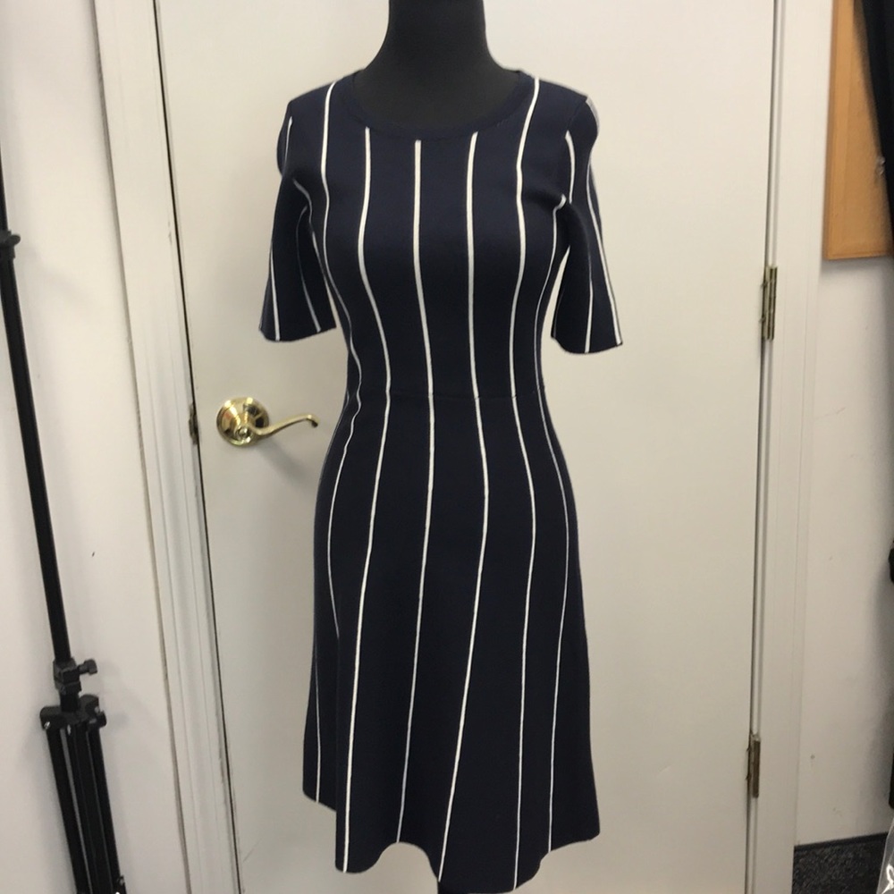 NWT Ann Taylor Dress